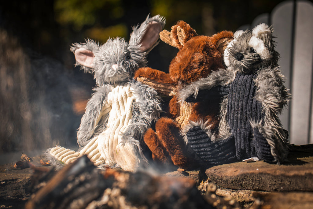Redwood Raccoon X-Brace® Plush Dog Toy