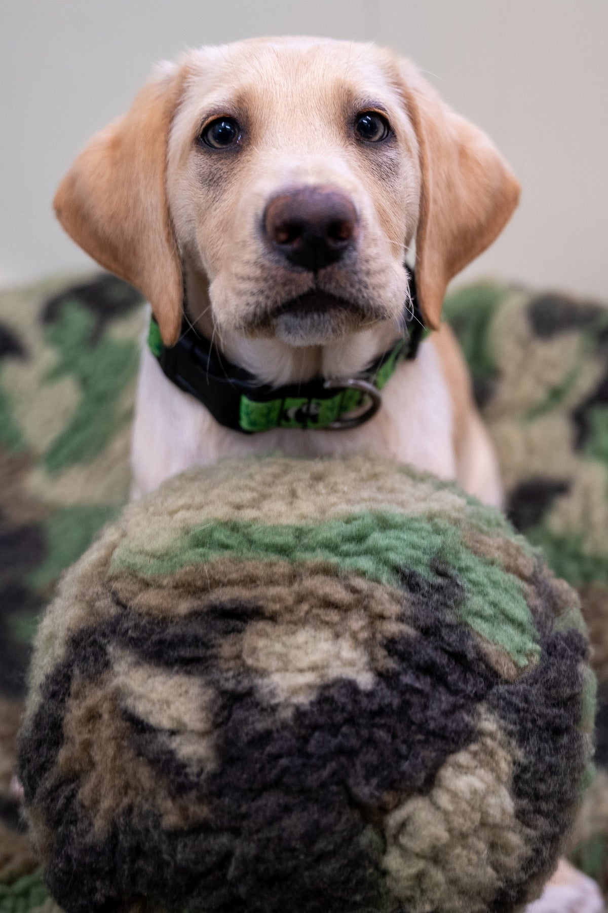 HuggleCause™, Warrior Canine Connection, Camouflage HuggleFleece® Plush Ball Dog Toy