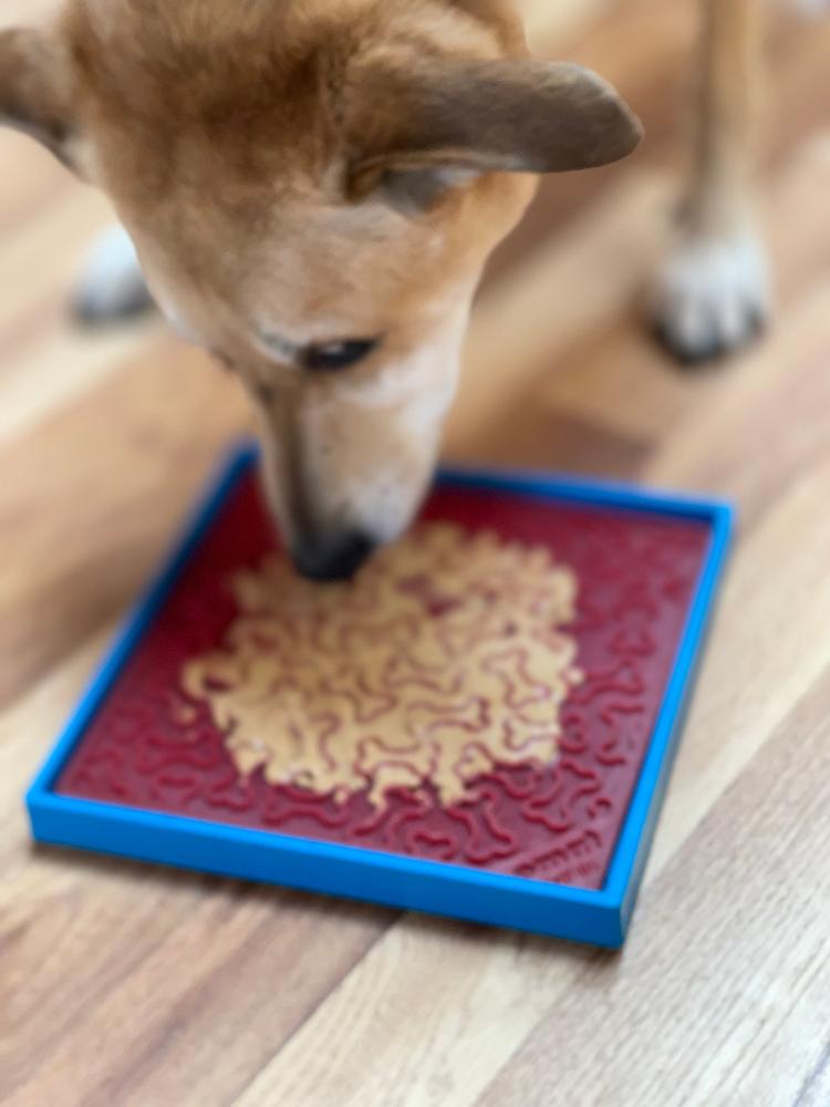 Hold 'em Suction Cup Holder for Dog Bowls & Lick Mats | USA Made