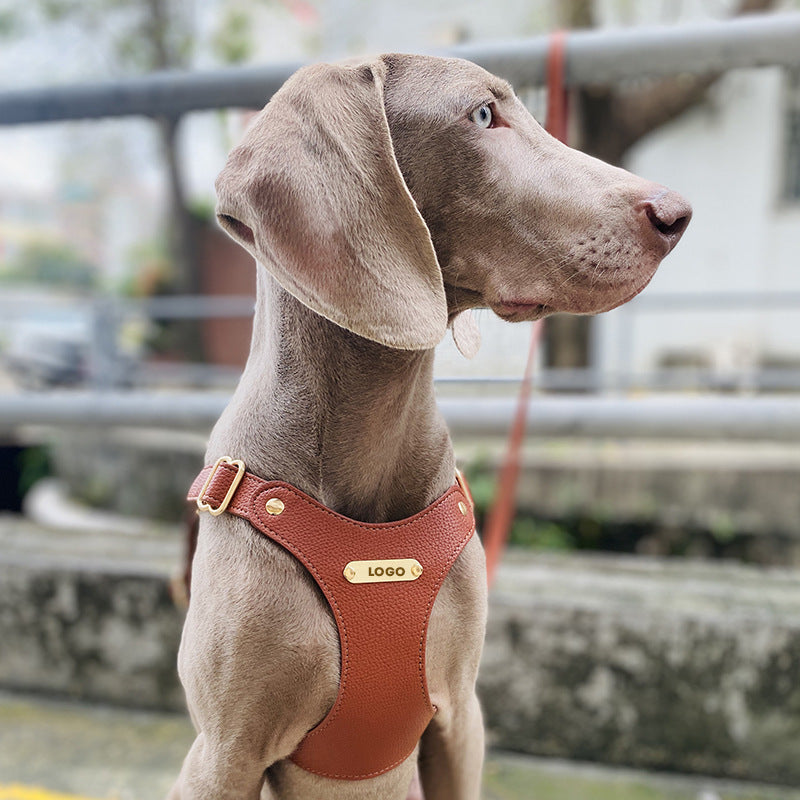 Boutique Leather Dog Harness & Leash Set – Brown/Green