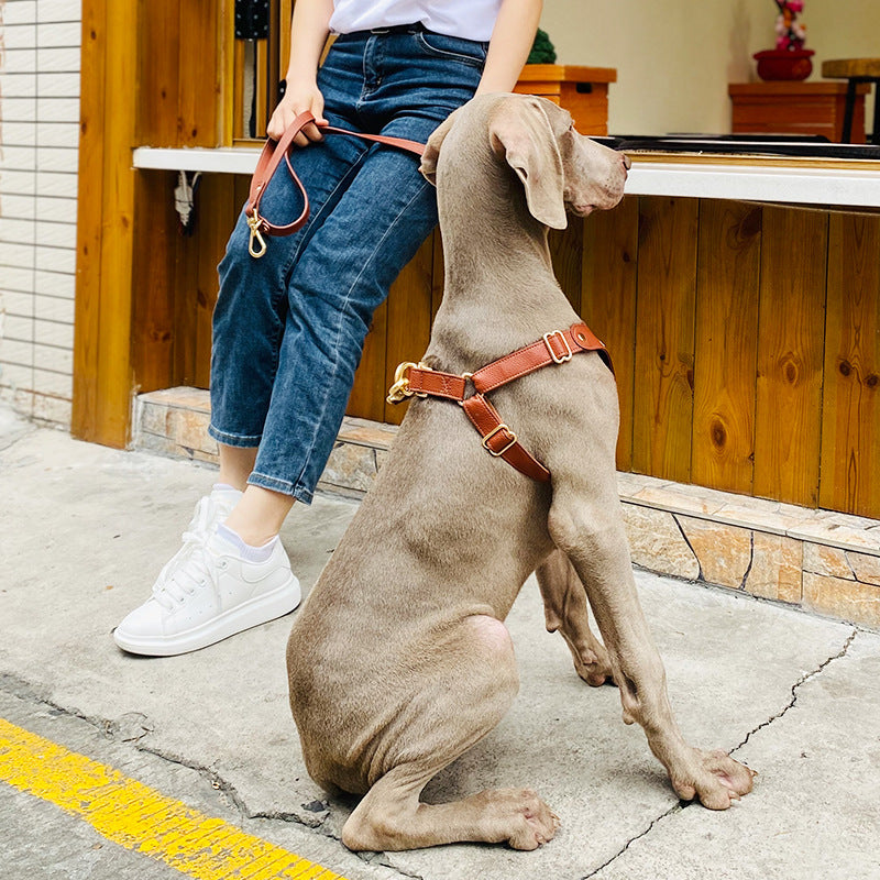 Boutique Leather Dog Harness & Leash Set – Brown/Green