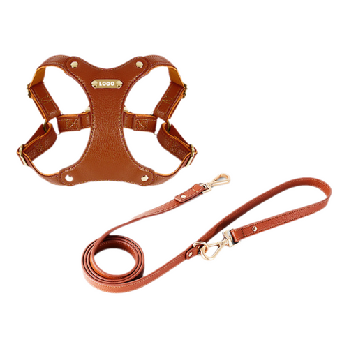 Boutique Leather Dog Harness & Leash Set – Brown/Green