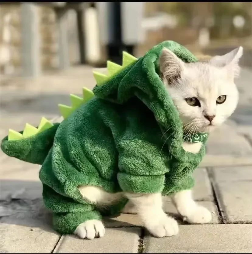 Halloween Dinosaur Costume