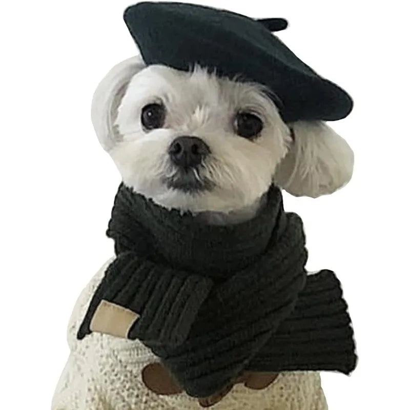 Ultra small dog beret cute kitten hat, fashionable pet hat wool mini hat photo props birthday accessories Christmas Halloween