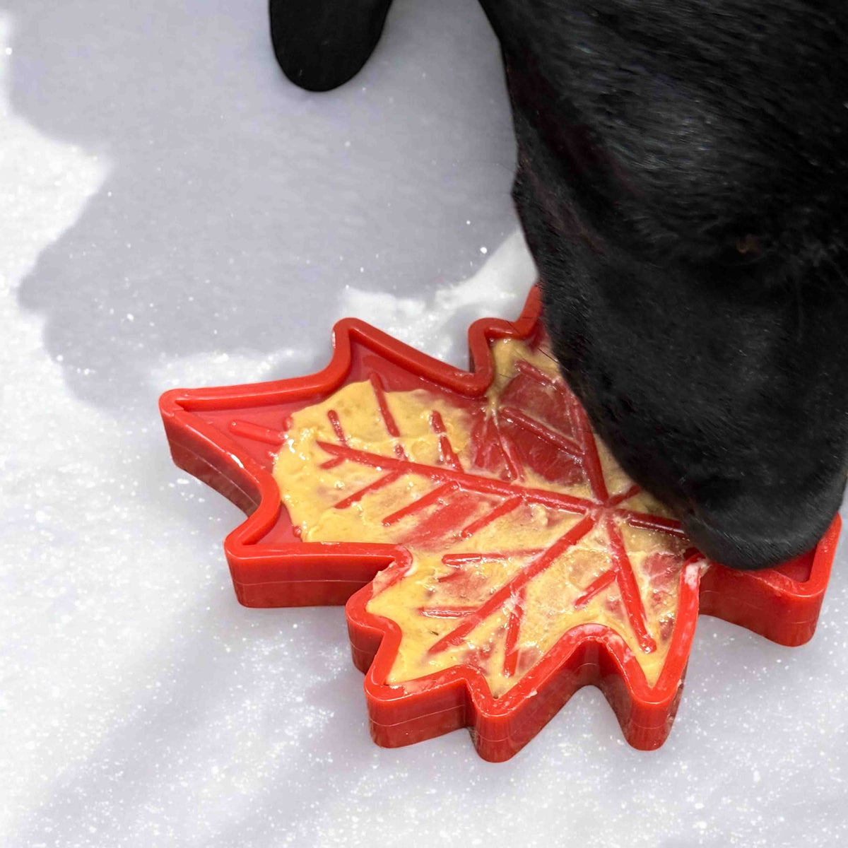 Canadian Maple Leaf Nylon Dog Chew Toy - Durable & USA Made