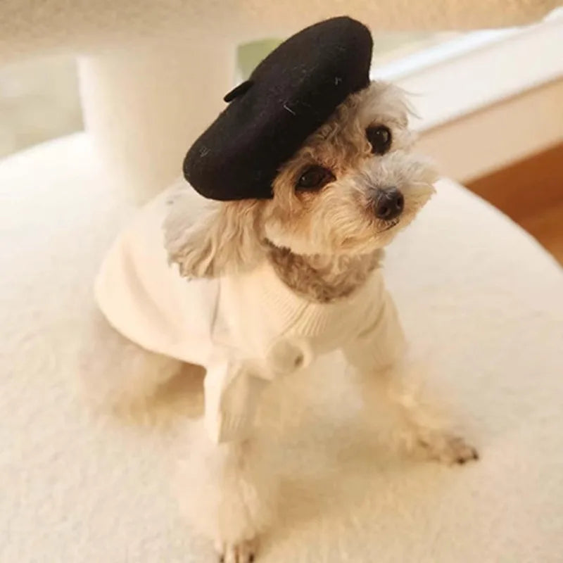 Ultra small dog beret cute kitten hat, fashionable pet hat wool mini hat photo props birthday accessories Christmas Halloween