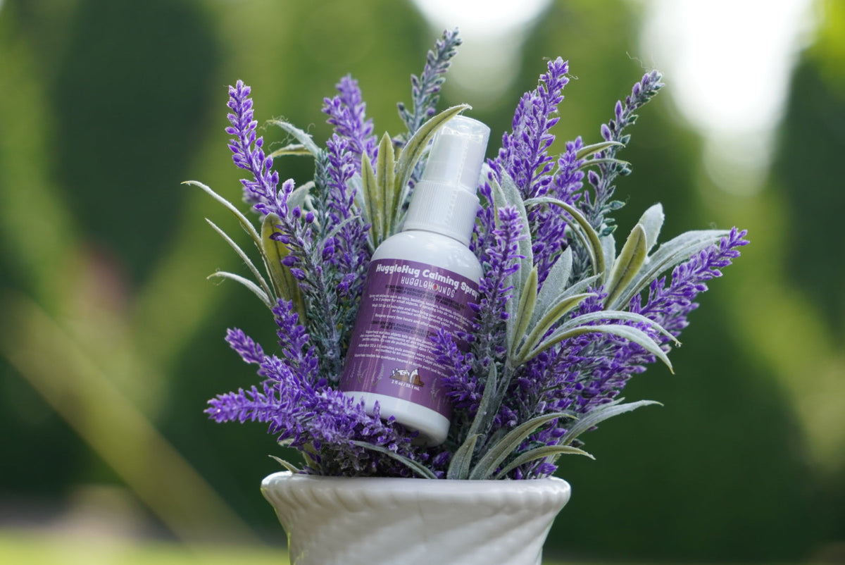 HuggleHug™ Lavender Bone & 2oz Calming Spray Dog Toy Set